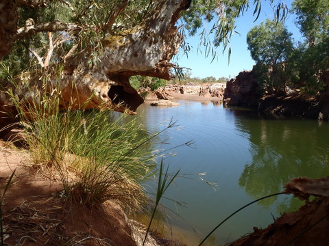 Peedamulla Campground And Cultural Tours - Tourism Noosa 1