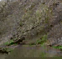 The Beach - Tourism Noosa