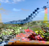 The Star  Port Willunga - Tourism Noosa