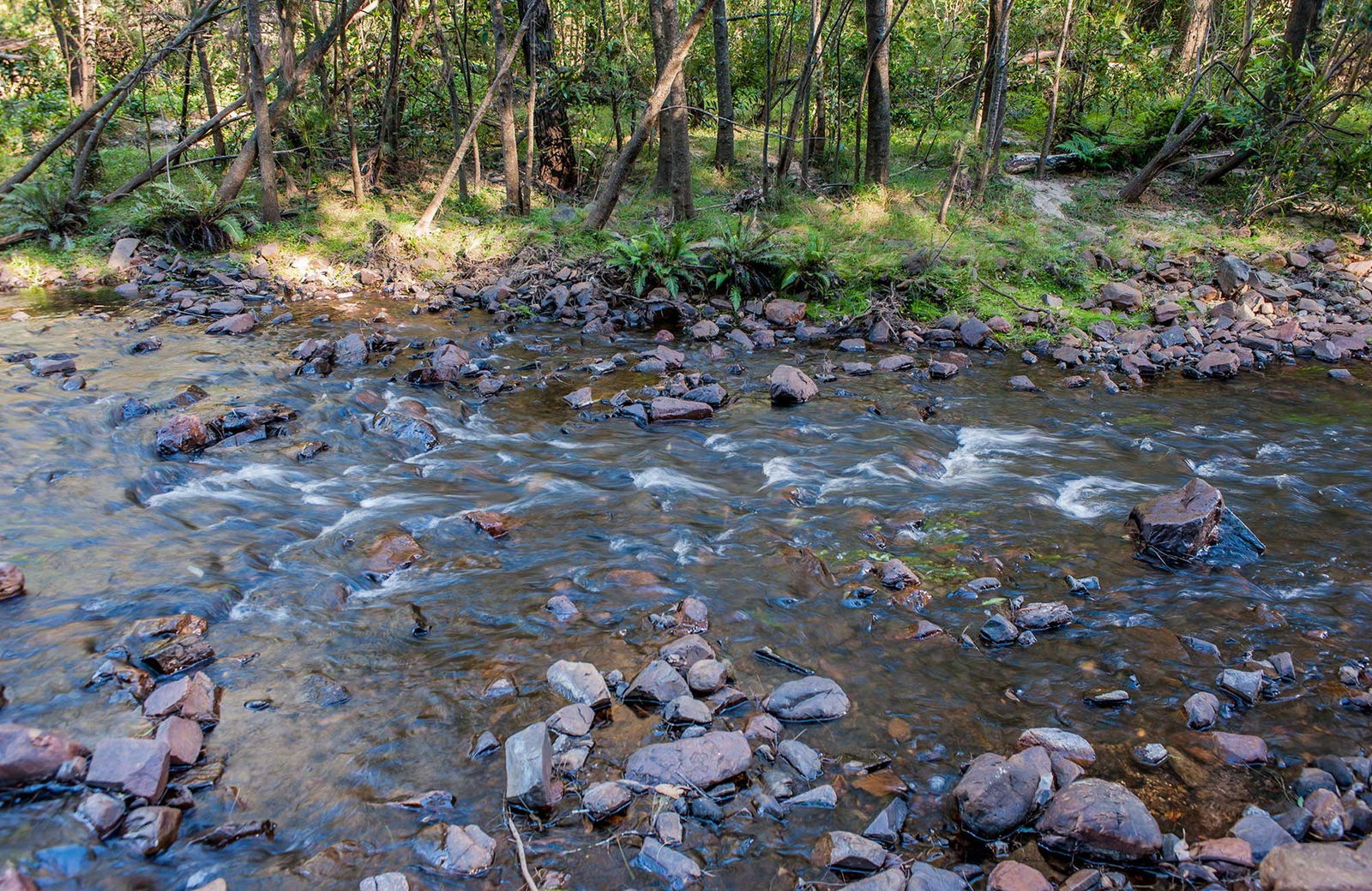 West Nowra NSW Tourism Noosa