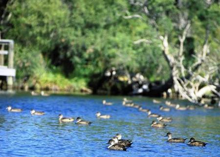 Comfort Inn Yanchep - Tourism Noosa 4