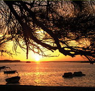 Pelican's Nest - Tourism Noosa