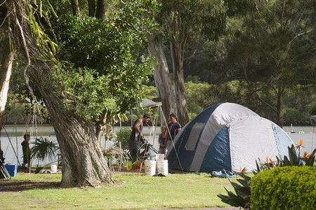 Ferry Reserve Holiday Park - Tourism Noosa 1