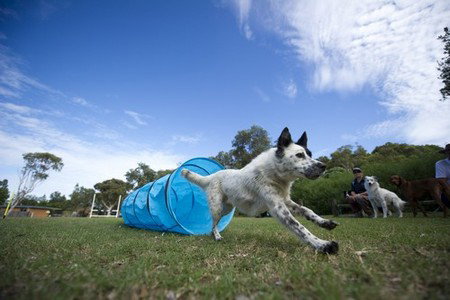 North Beach Holiday Park - Tourism Noosa 1