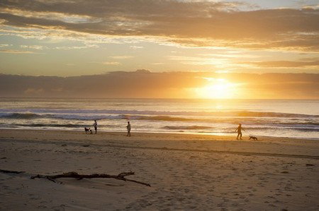 North Beach Holiday Park - Tourism Noosa 4