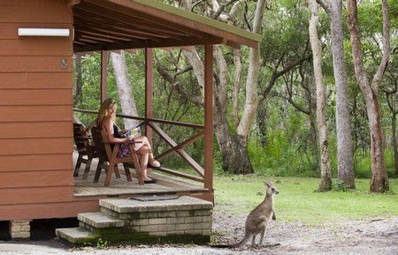 Hungry Head Cabins - Tourism Noosa 1
