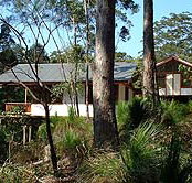 Grass Trees Escape - Tourism Noosa