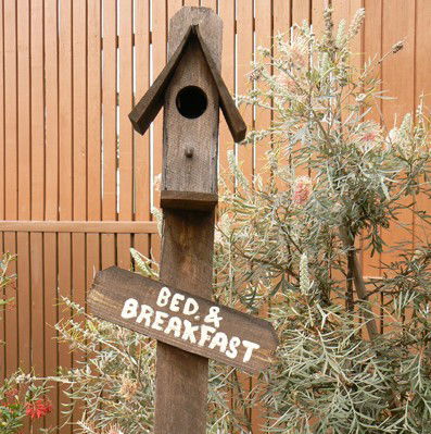 Ashby NSW Tourism Noosa