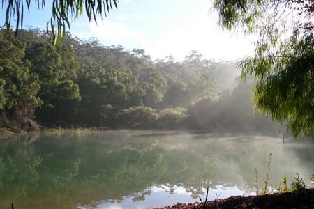 Karri Valley Chalets - Tourism Noosa 2