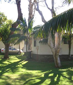Arrawarra Beach Holiday Park - Tourism Noosa 1