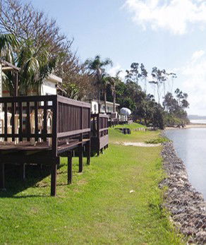 Arrawarra Beach Holiday Park - Tourism Noosa 2