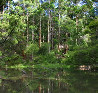 Peppermint Grove Retreat - Tourism Noosa