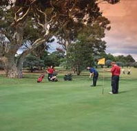 Barham Golf Resort - Tourism Noosa