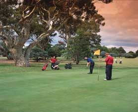 Barham Golf Resort - Tourism Noosa 0