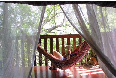 Bellingen YHA Hostel - Tourism Noosa 1