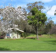 Country Cottages - Tourism Noosa