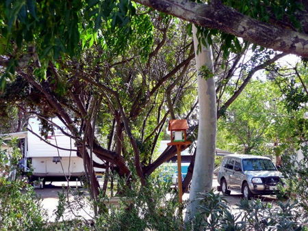 Kojonup Caravan Park - Tourism Noosa 1