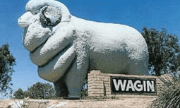 Wagin Motel - Tourism Noosa