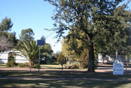 Bingara Caravan Park - Tourism Noosa 0