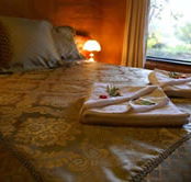 Treenbrook Cottages - Tourism Noosa