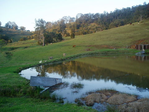 Barkeldine Farm Country Retreat - Tourism Noosa 0