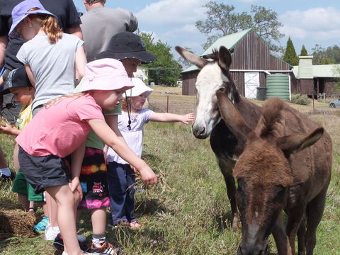 Barkeldine Farm Country Retreat - Tourism Noosa 2