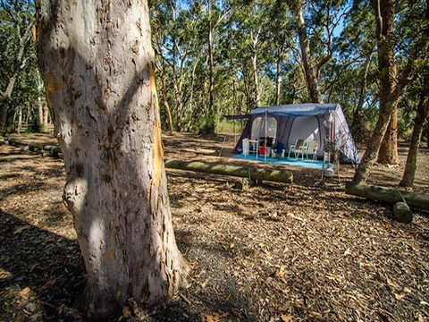 Boomeri Campground - Tourism Noosa 0