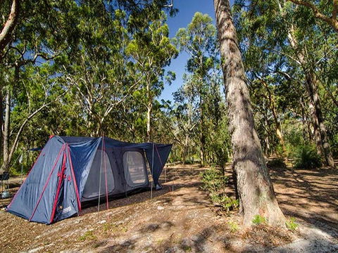 Boomeri Campground - Tourism Noosa 1