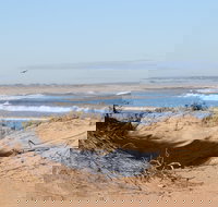 Chadinga Conservation Park Campground - Tourism Noosa