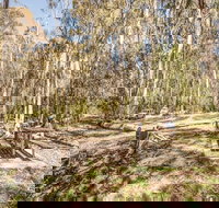 Coree campground - Tourism Noosa