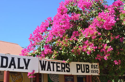 Daly Waters Historic Pub - Tourism Noosa 0