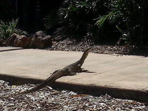 Escape 1770 - Tourism Noosa 2