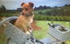 Farm Accommodation - thumb 1