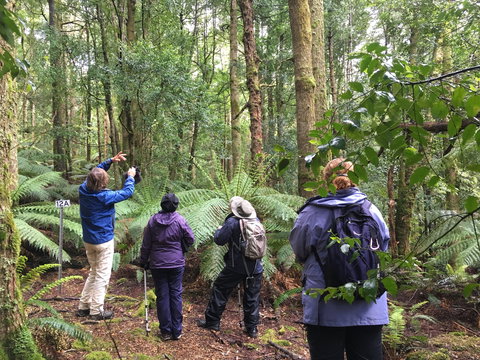 Forest Walks Lodge - Eco-Accommodation - Tourism Noosa 1