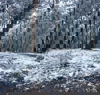 High Peaks Cottages - Tourism Noosa