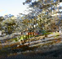 Molly's Chase - Tourism Noosa