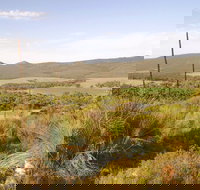 Nyroca Campsite  Group Accommodation - Tourism Noosa