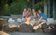 Paradise Country Farmstay - thumb 1