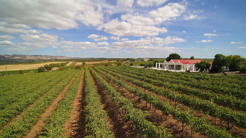 1837 Barossa Luxury Vineyard Cottages - Tourism Noosa 0