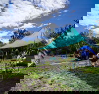 Banksia Green campground - Tourism Noosa