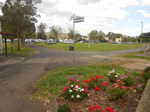 Berry Showground Camping - Tourism Noosa 1