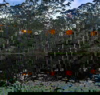 Billabong Retreat - Tourism Noosa