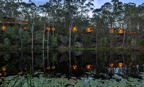 Billabong Retreat - Tourism Noosa 0