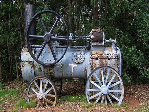 Dingo Tops Campground - Tourism Noosa 1