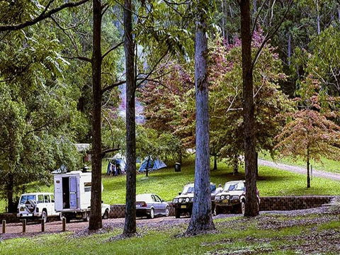 Dingo Tops Campground - Tourism Noosa 2