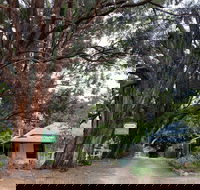 Fernleigh Accommodation - Tourism Noosa