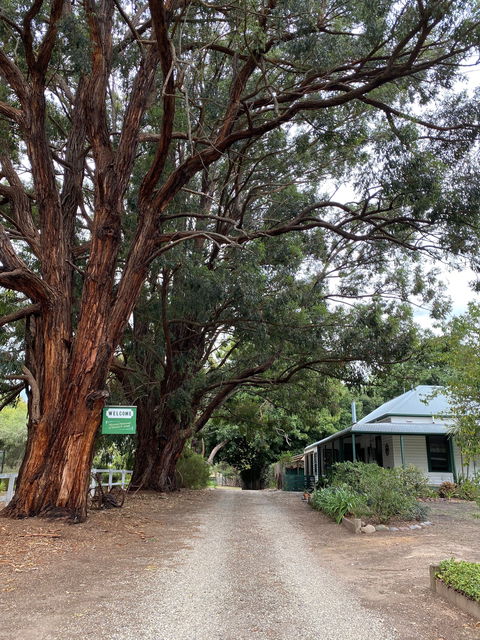 Fernleigh Accommodation - Tourism Noosa 0