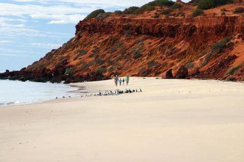 Herald Bight Camp At Francois Peron National Park - Tourism Noosa 0