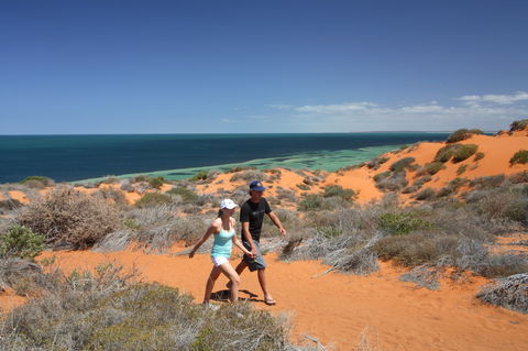 Herald Bight Camp At Francois Peron National Park - Tourism Noosa 2