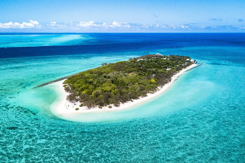 Heron Island Resort - Tourism Noosa 0